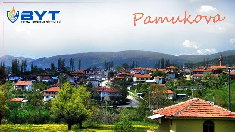 Pamukova Kombi Servisi